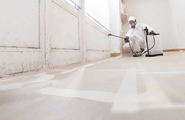 24/7 Emergency Mold Testing experts in New Vernon, NJ